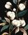 3246-11800x1800w.jpg