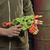 blaster-nerf-zombi-strayk-alternator-2.jpg