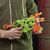 blaster-nerf-zombi-strayk-alternator-4.jpg