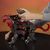 transformer-drakon-dragonshtorm-4.jpg